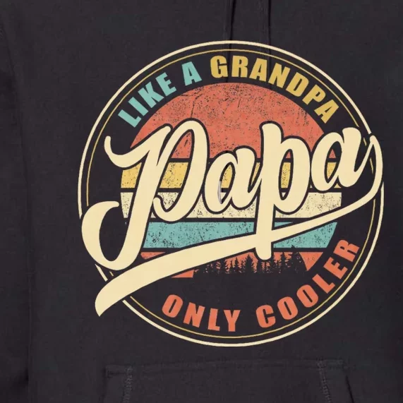 Papa Like A Grandpa Only Cooler Funny Dad Papa Definition Premium Hoodie