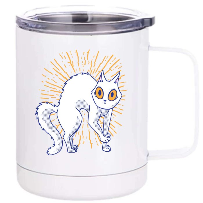 Playful Cat Front & Back 12oz Stainless Steel Tumbler Cup