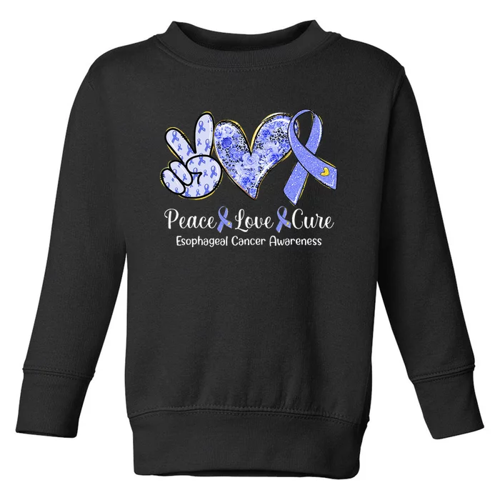 Peace Love Cure Periwinkle Ribbon Esophageal Cancer Toddler Sweatshirt