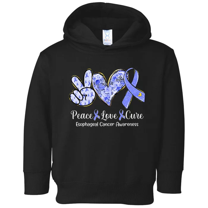 Peace Love Cure Periwinkle Ribbon Esophageal Cancer Toddler Hoodie