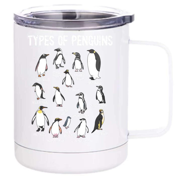 Penguin Lover Penguins Of The World Types Of Penguins Front & Back 12oz Stainless Steel Tumbler Cup