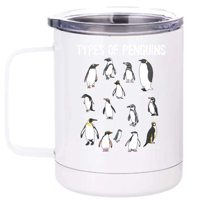 Penguin Lover Penguins Of The World Types Of Penguins Front & Back 12oz Stainless Steel Tumbler Cup