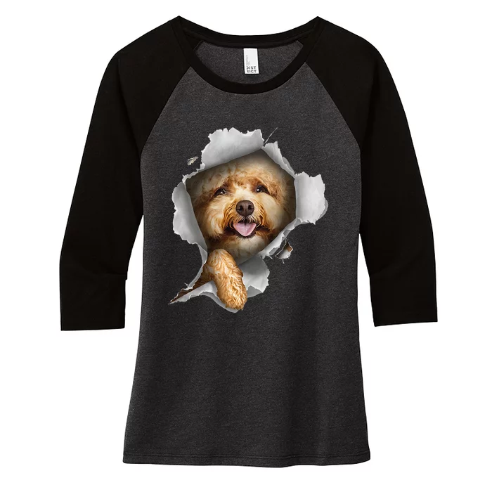 Poodle Lover Poodle Owner Gift Poodle Women's Tri-Blend 3/4-Sleeve Raglan Shirt