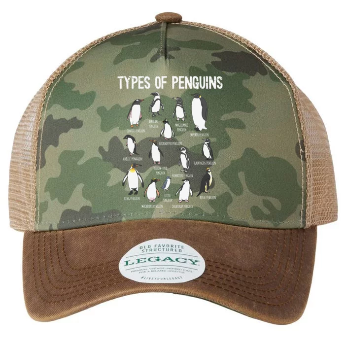 Penguin Lover Penguins Of The World Types Of Penguins Legacy Tie Dye Trucker Hat