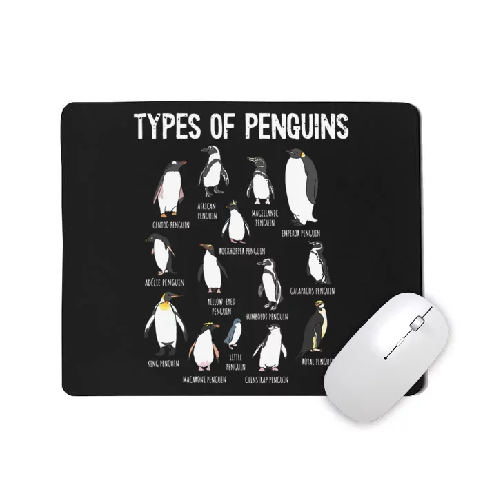 Penguin Lover Penguins Of The World Types Of Penguins Mousepad