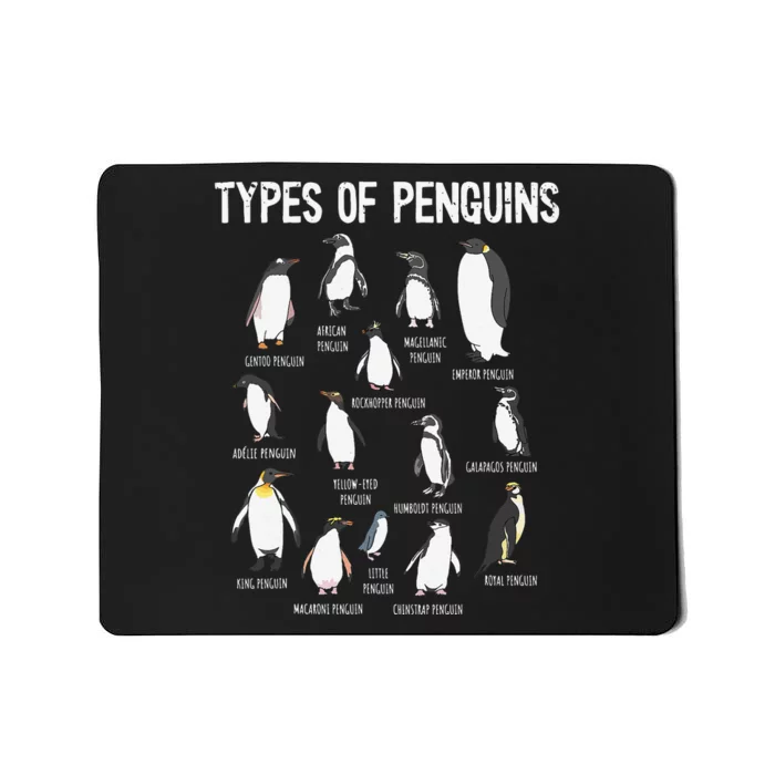 Penguin Lover Penguins Of The World Types Of Penguins Mousepad