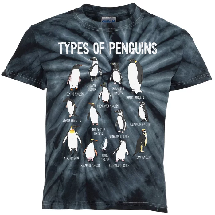 Penguin Lover Penguins Of The World Types Of Penguins Kids Tie-Dye T-Shirt