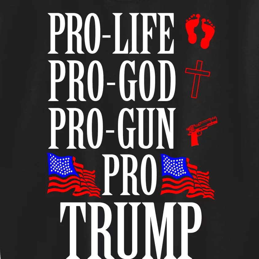 Pro Life Pro God Pro Gun Pro Trump 2024 Kids Sweatshirt