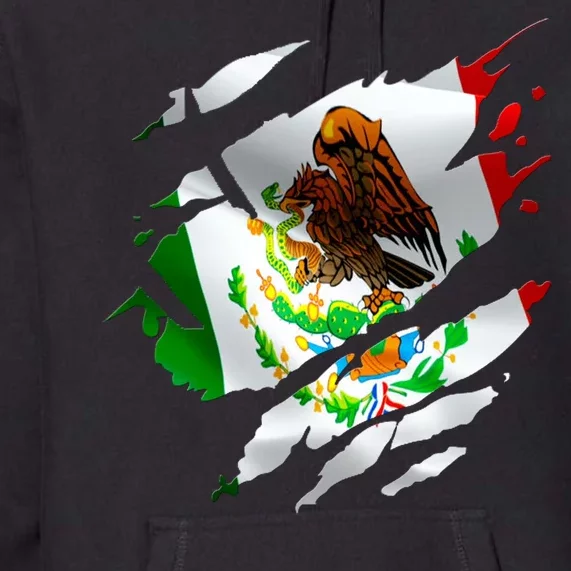 Proud Mexican Chicano Latino Torn Ripped Mexico Flag Premium Hoodie