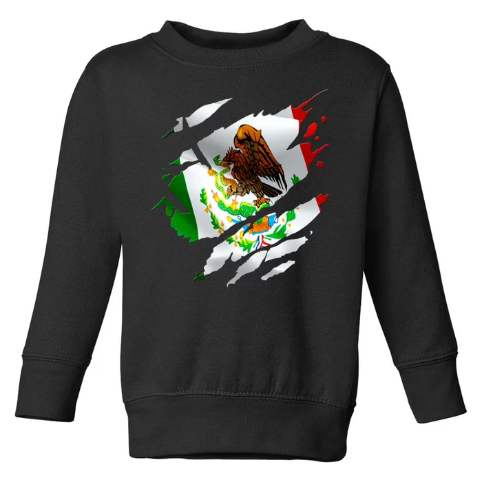 Proud Mexican Chicano Latino Torn Ripped Mexico Flag Toddler Sweatshirt