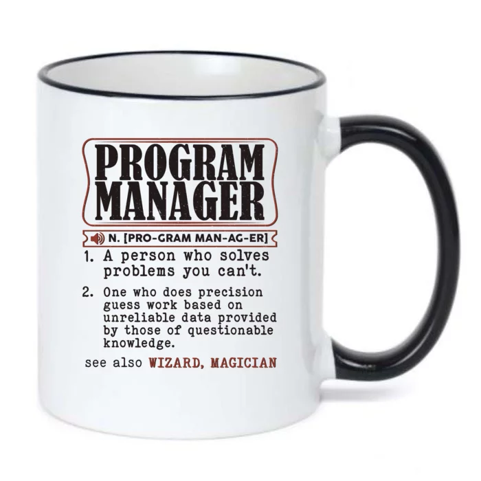 Program Manager Definition Black Color Changing Mug