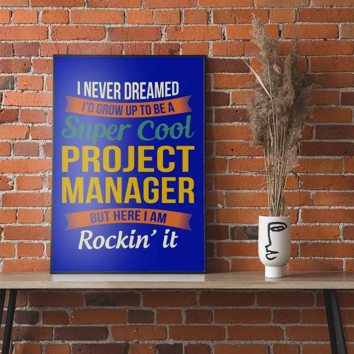 Project Manager Gift Funny Appreciation Gift Poster