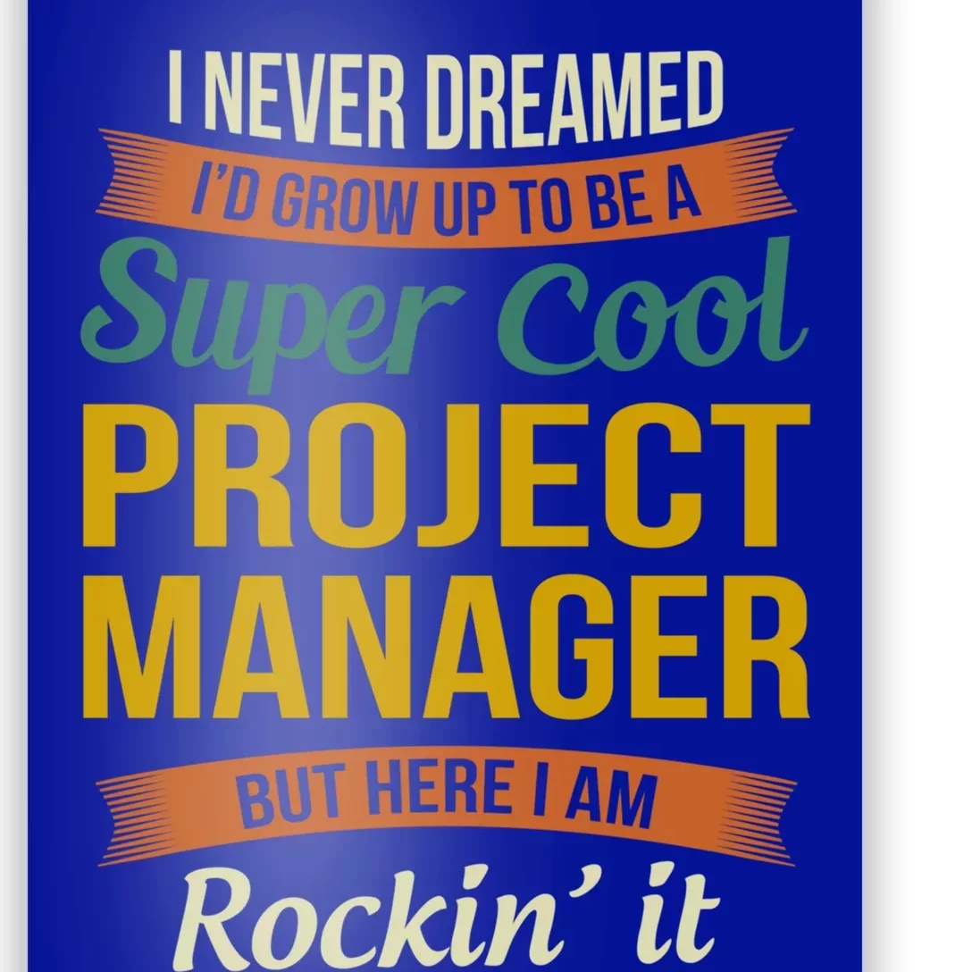 Project Manager Gift Funny Appreciation Gift Poster