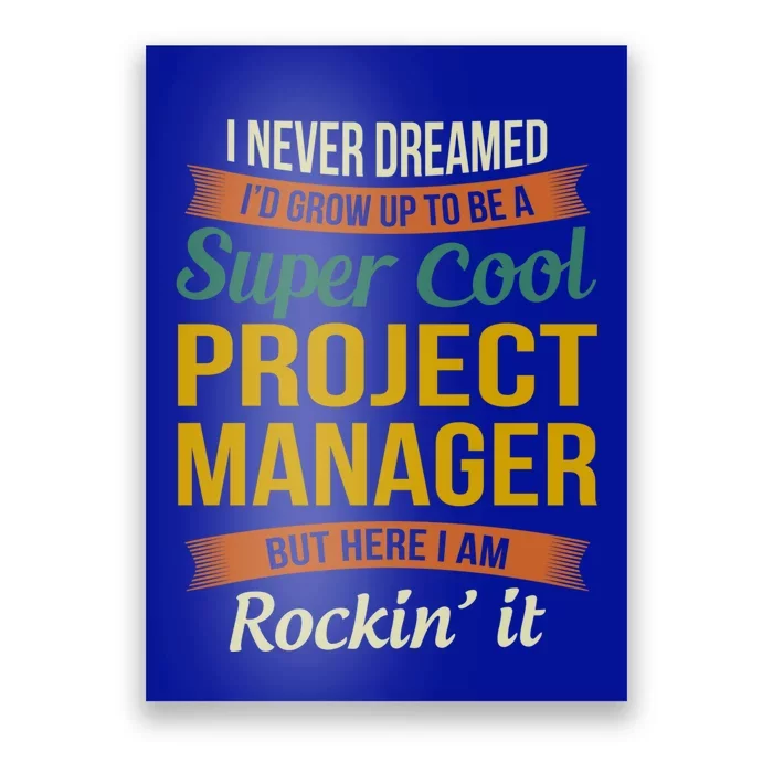 Project Manager Gift Funny Appreciation Gift Poster