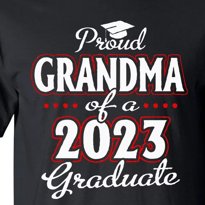 Proud Mom Graduate Leopard Senior Mom Class Of 24 Tall T-Shirt