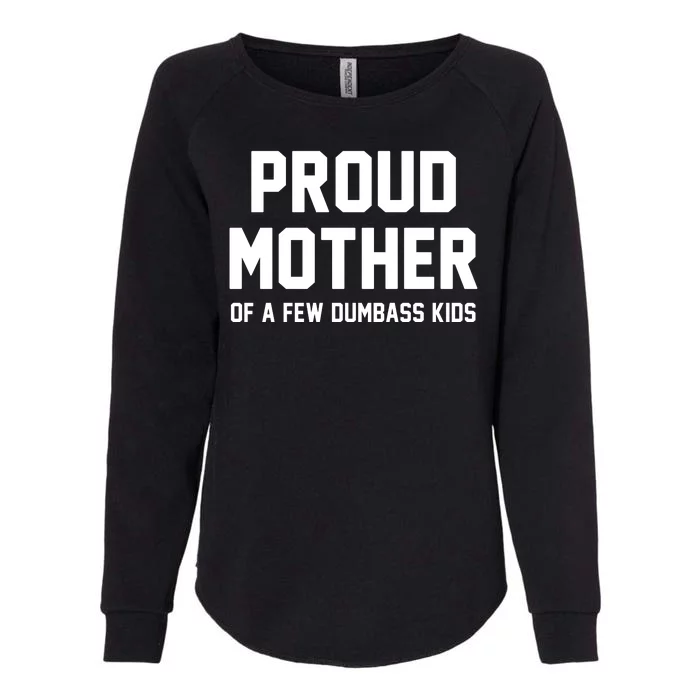 Proud Mother Of A Few Dumbass Kids Funny Womens California Wash Sweatshirt