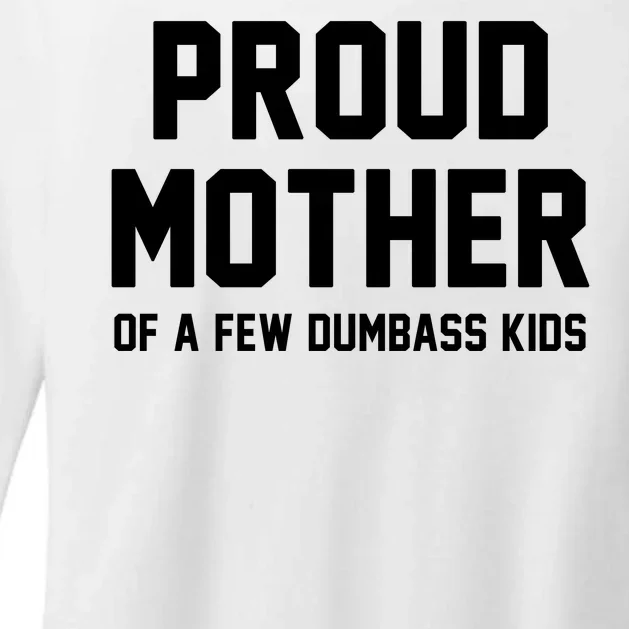 Proud Mother Of A Few Dumbass Kids Funny Womens CVC Long Sleeve Shirt