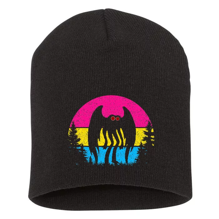 Pan Mothman Pansexual Pride Point Pleasant Cryptid Short Acrylic Beanie