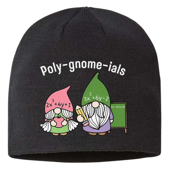 Polygnomeials Math Teacher 8 1/2in Sustainable Knit Beanie