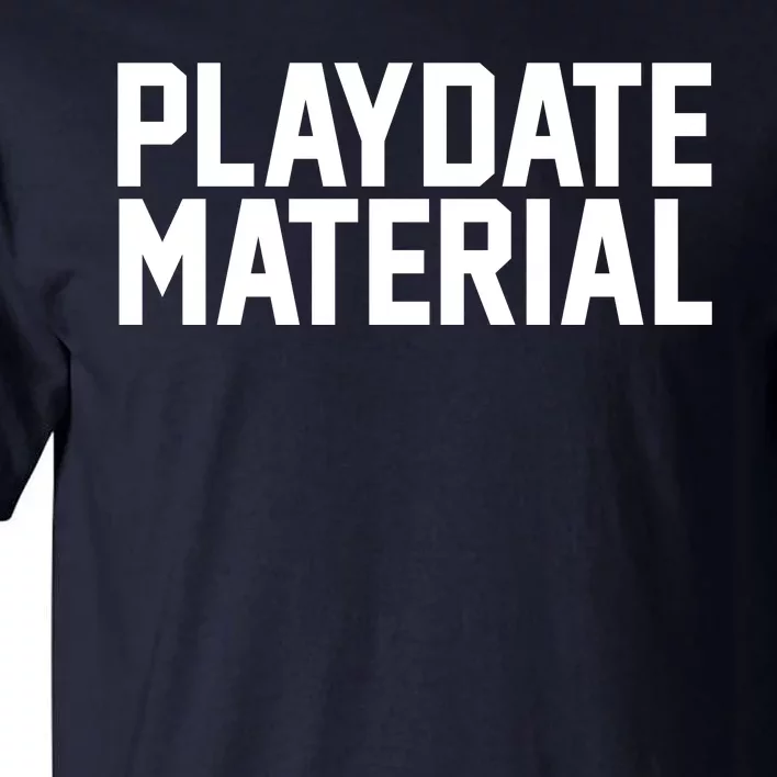 Playdate Material Valentine Tall T-Shirt