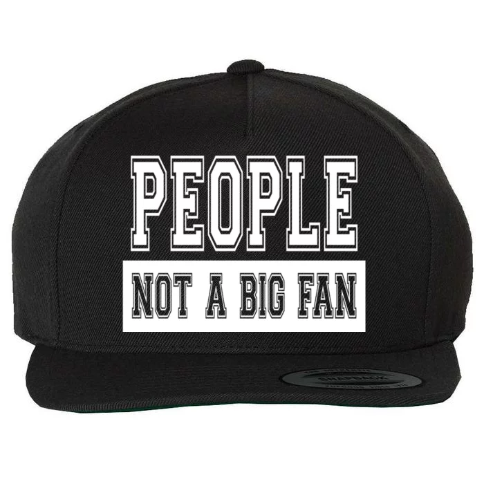 People Not A Big Fan Wool Snapback Cap