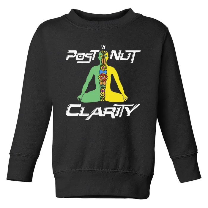 Post Nut Clarity Toddler Sweatshirt