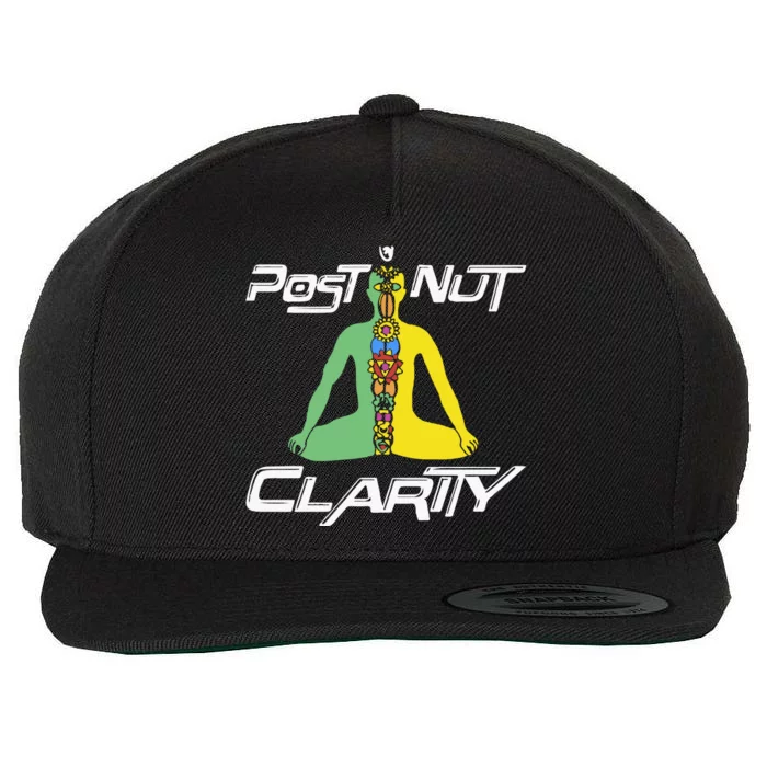 Post Nut Clarity Wool Snapback Cap