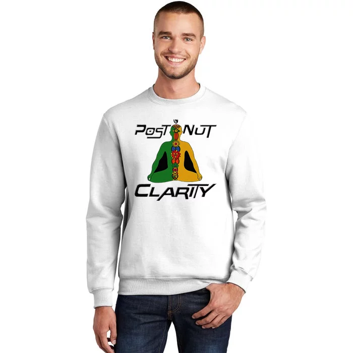 Post Nut Clarity Funny Post Nut Clarity Trending Post Nut Sweatshirt