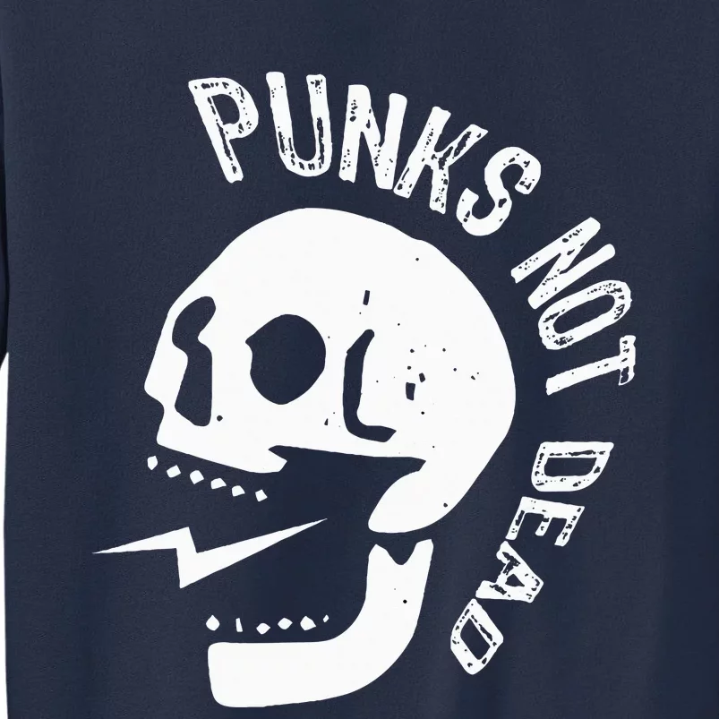 Punks Not Dead Skull Sweatshirt