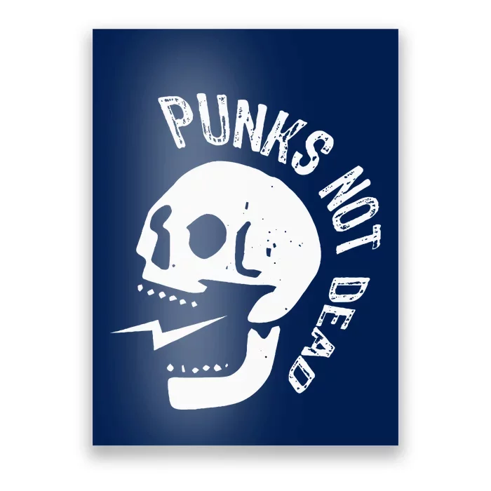 Punks Not Dead Skull Poster