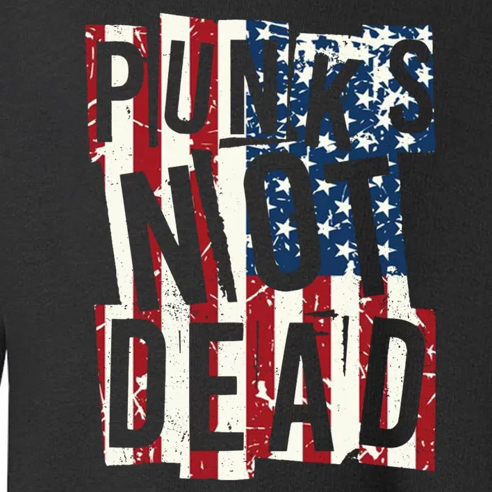 Punks Not Dead USA American Flag Toddler Sweatshirt