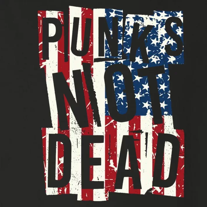 Punks Not Dead USA American Flag Toddler Long Sleeve Shirt