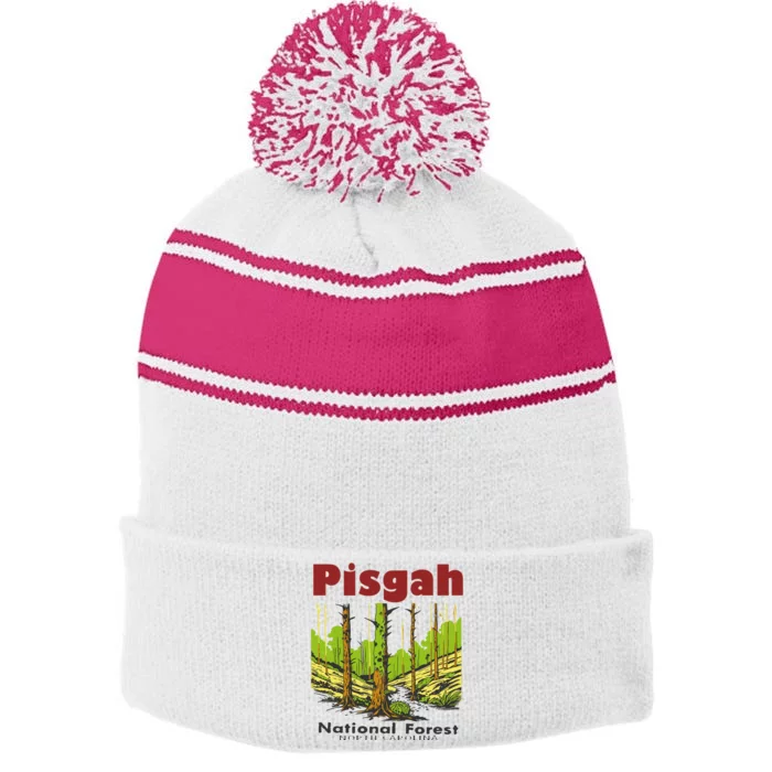 Pisgah National Forest Stripe Pom Pom Beanie