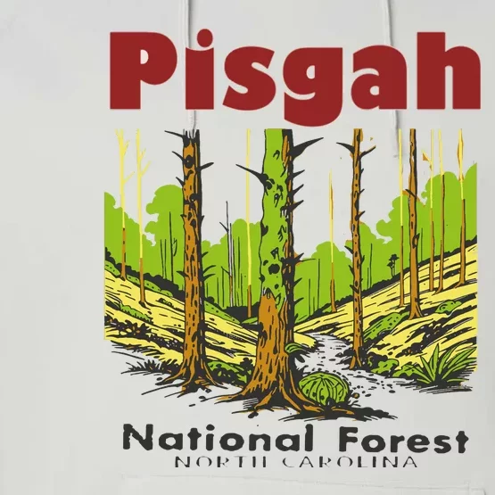 Pisgah National Forest Performance Fleece Hoodie