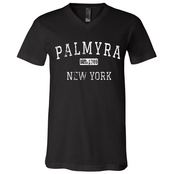 Palmyra New York NY Vintage V-Neck T-Shirt