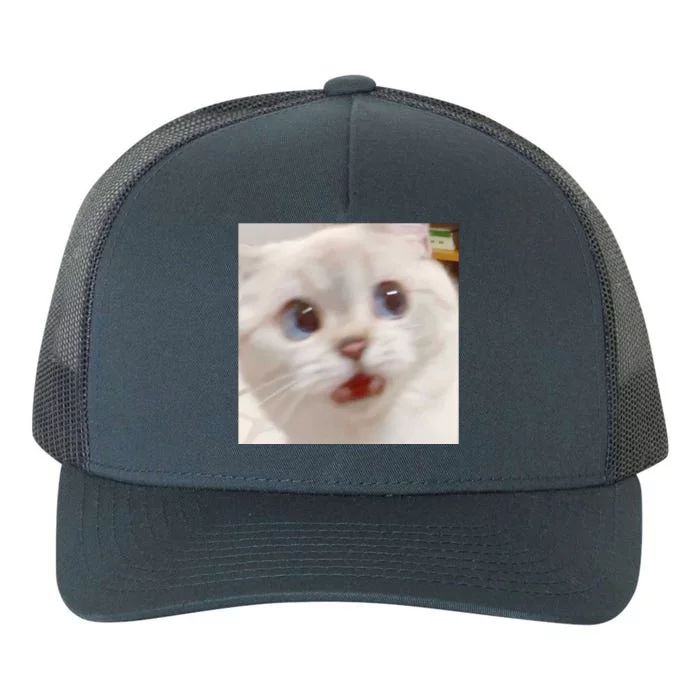 Photo Of A CatS Funny Expression Yupoong Adult 5-Panel Trucker Hat