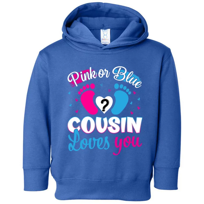 Pink Or Blue Cousin Loves You Funny Gift Gender Reveal Party Gift Toddler Hoodie