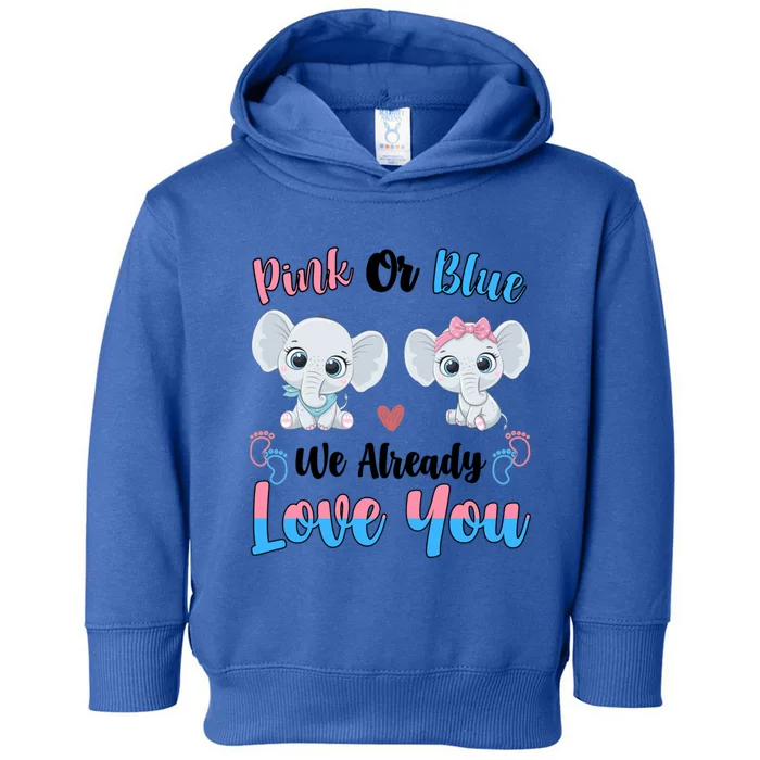 Pink Or Blue We Always Love You Funny Elephant Gender Reveal Gift Toddler Hoodie