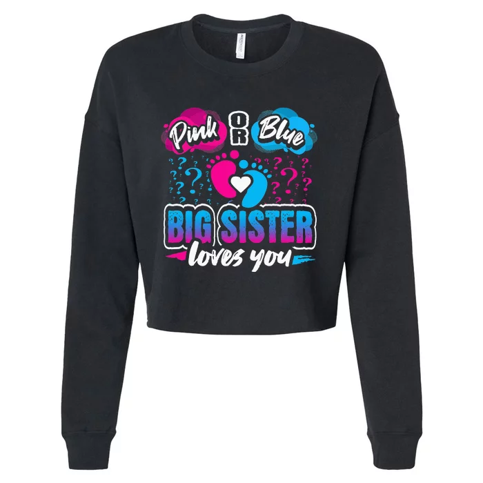 Pink Or Blue Big Sister Loves You Gender Reveal Baby Party Cropped Pullover Crew