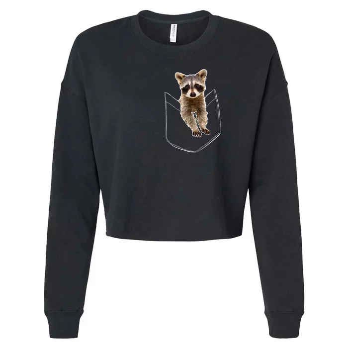 Pocket Raccoon Funny Cropped Pullover Crew