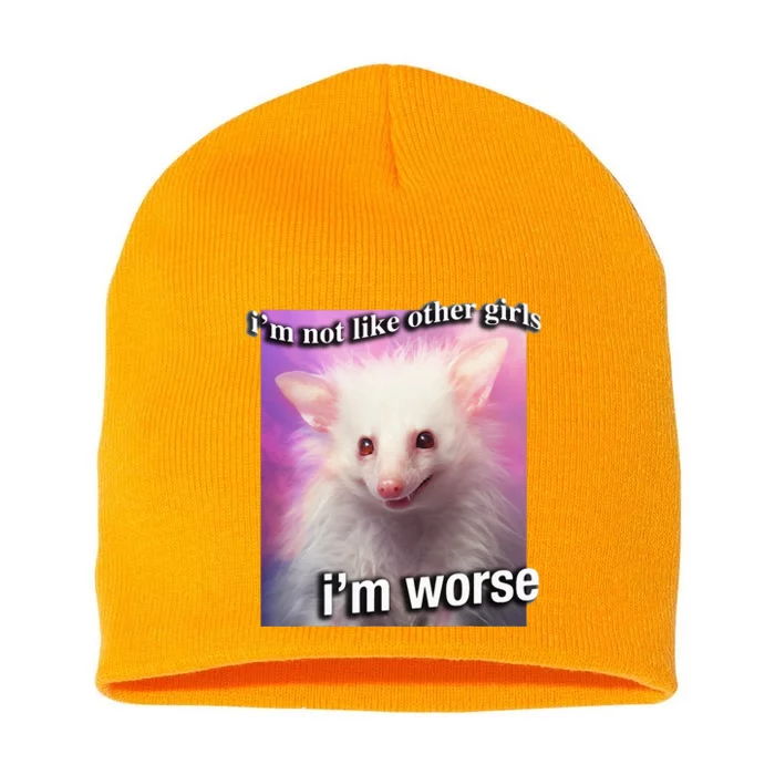 Possum Opossum I’M Not Like Other Girl I’M Worse Short Acrylic Beanie