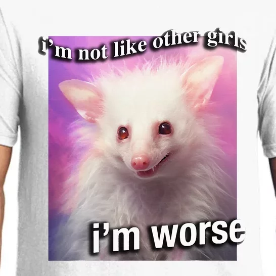 Possum Opossum I’M Not Like Other Girl I’M Worse Pajama Set