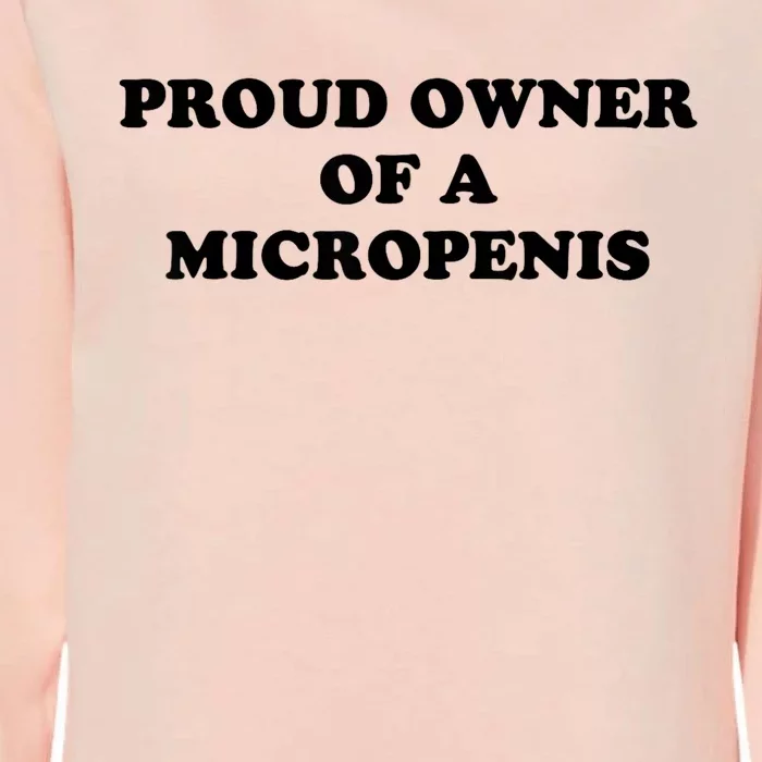 Proud Owner Of A Micropenis Funny Meme Womens California Wash Sweatshirt