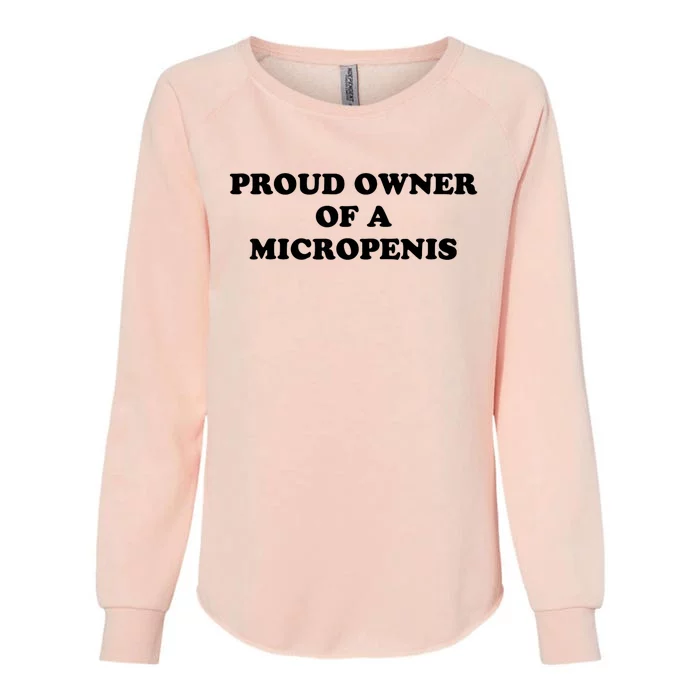 Proud Owner Of A Micropenis Funny Meme Womens California Wash Sweatshirt