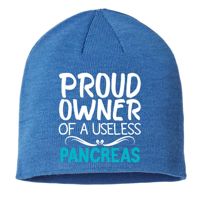 Proud Owner Of A Useless Pancreas Type 1 Diabetes Awareness Gift 8 1/2in Sustainable Knit Beanie