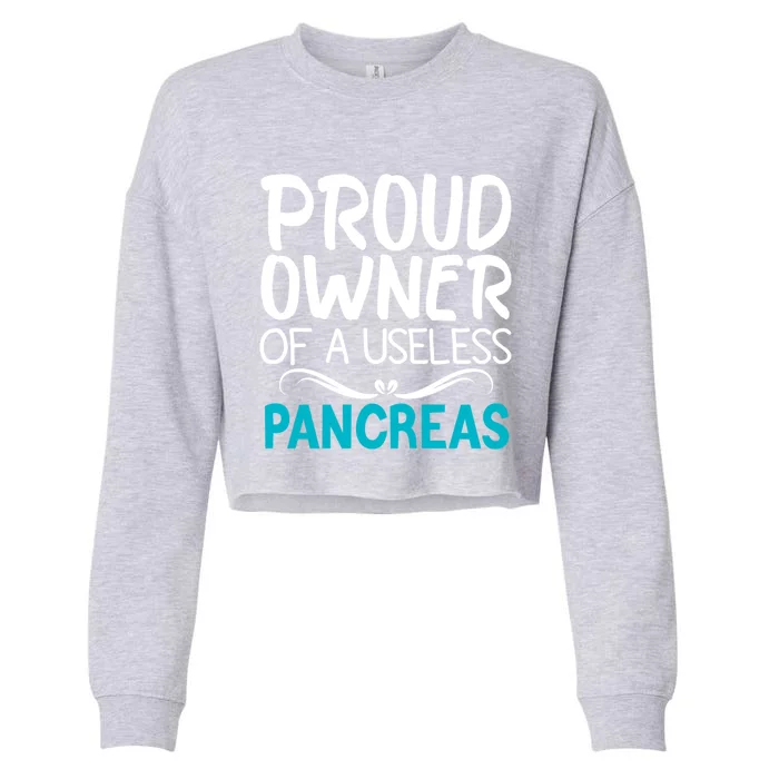 Proud Owner Of A Useless Pancreas Type 1 Diabetes Awareness Gift Cropped Pullover Crew