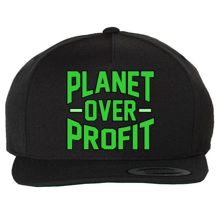 Planet Over Profit Save Earth Day Support Graphic Gift Wool Snapback Cap