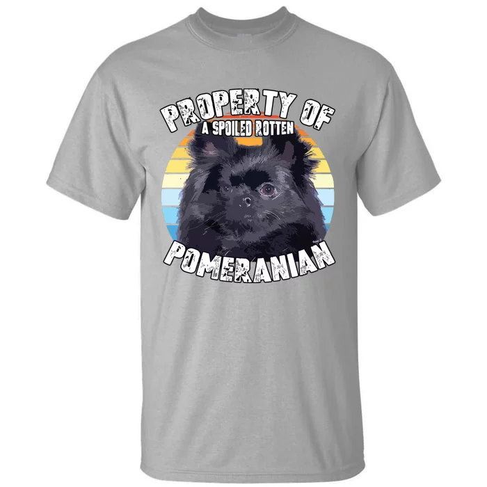 Property Of Pomeranian Black Tall T-Shirt