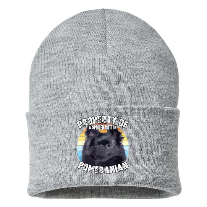 Property Of Pomeranian Black Sustainable Knit Beanie