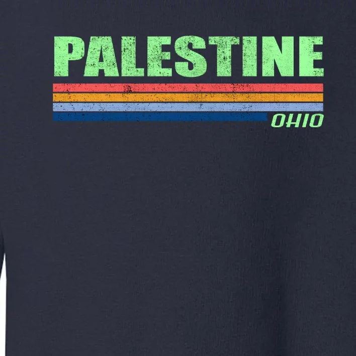 Palestine Ohio Retro Toddler Sweatshirt